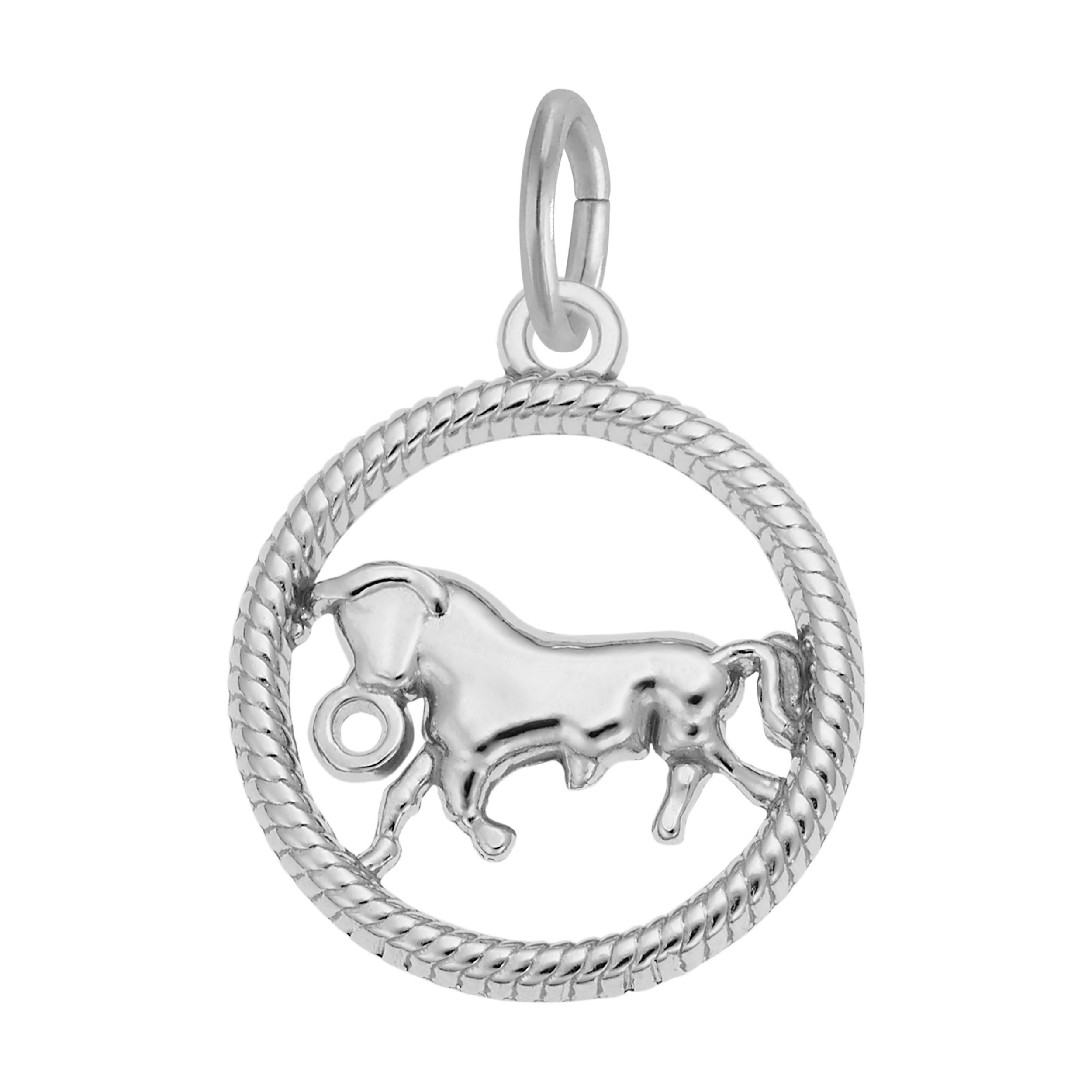 Taurus Bull Charm