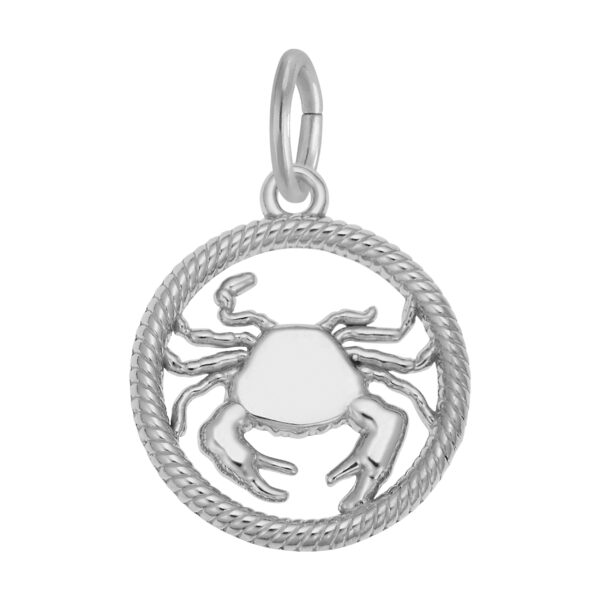 Cancer Crab Charm