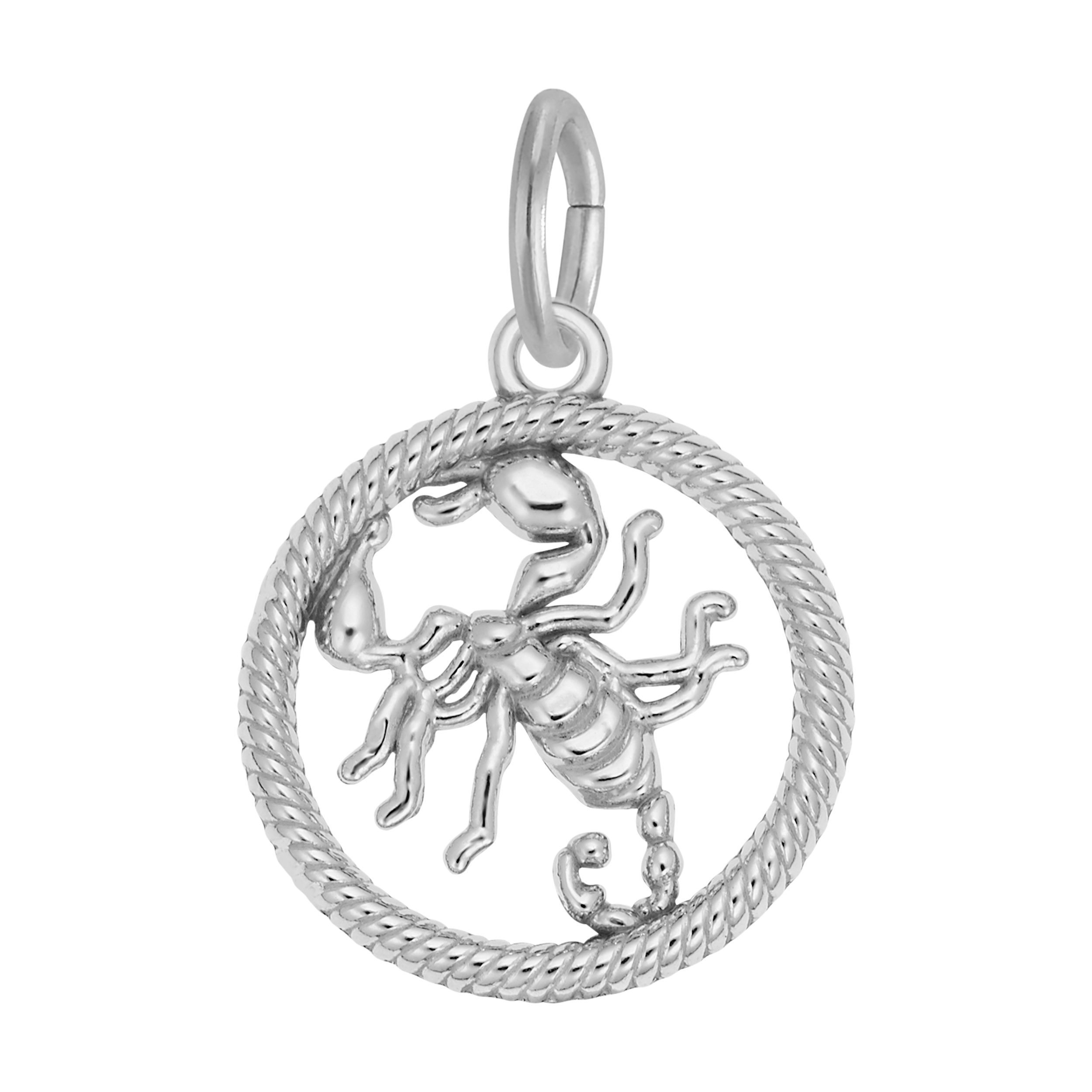 Scorpio Scorpion Charm