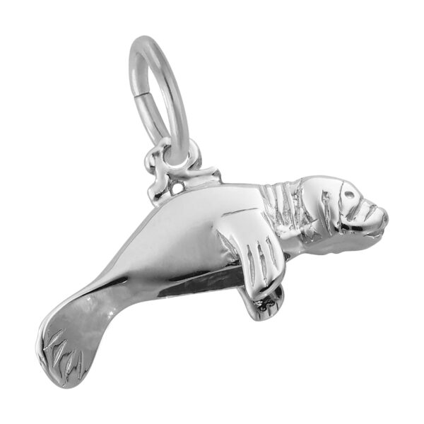 Manatee Charm