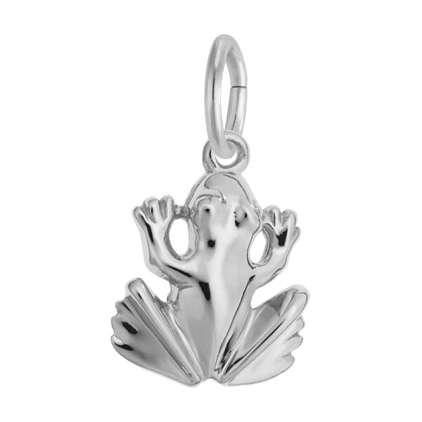 Frog Charm
