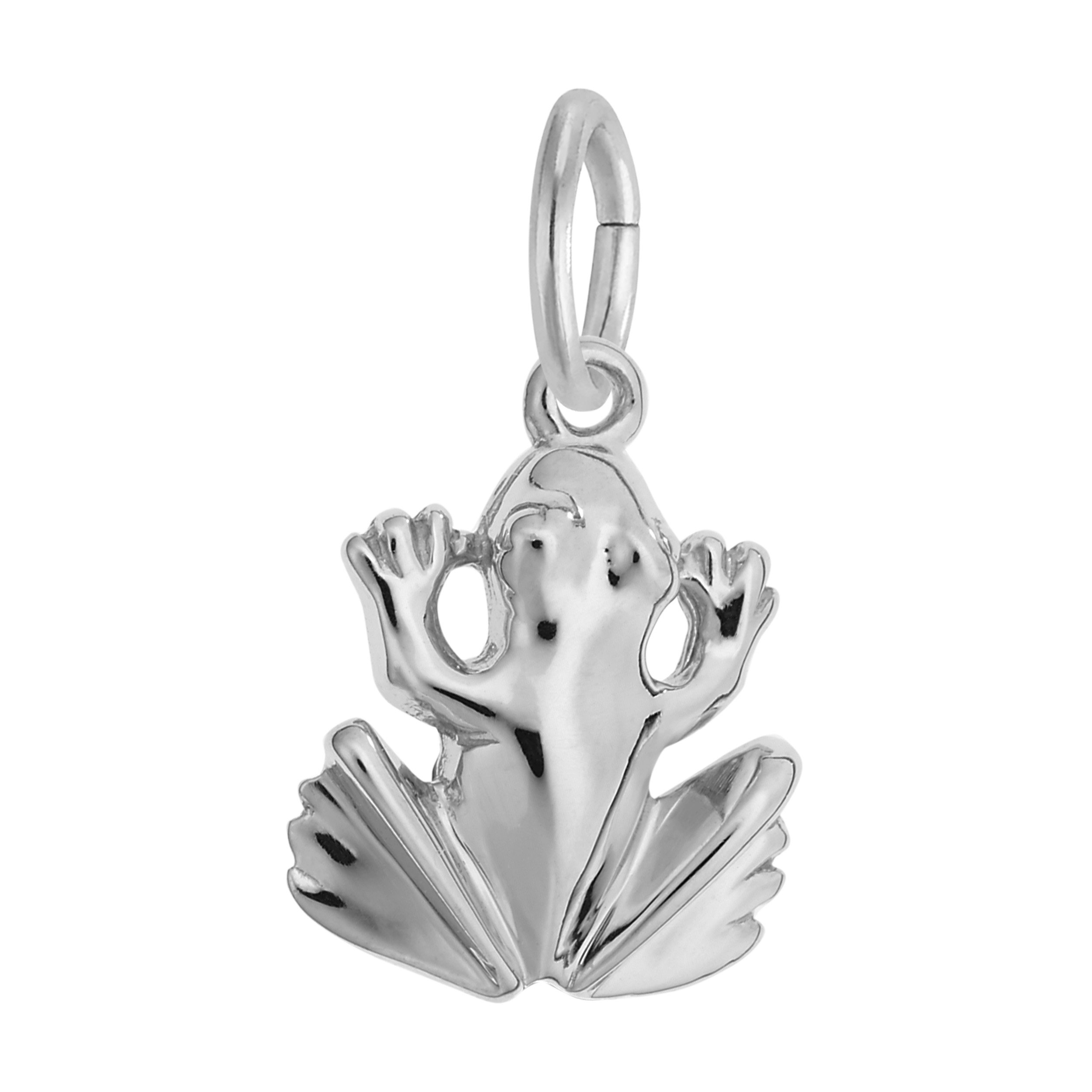 Frog Charm