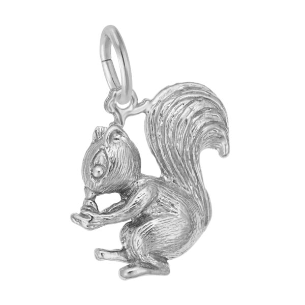 Squirrel Charm