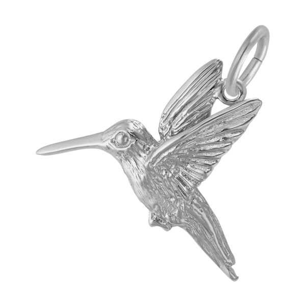 Hummingbird Charm