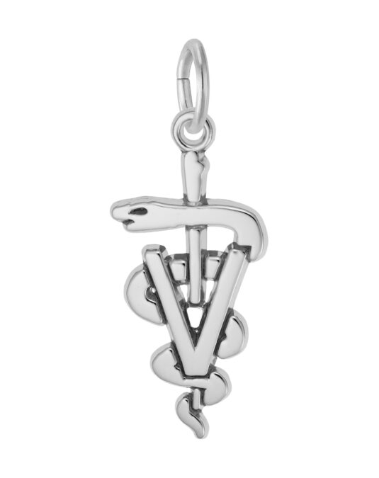 Veterinarian Medical Logo Charm