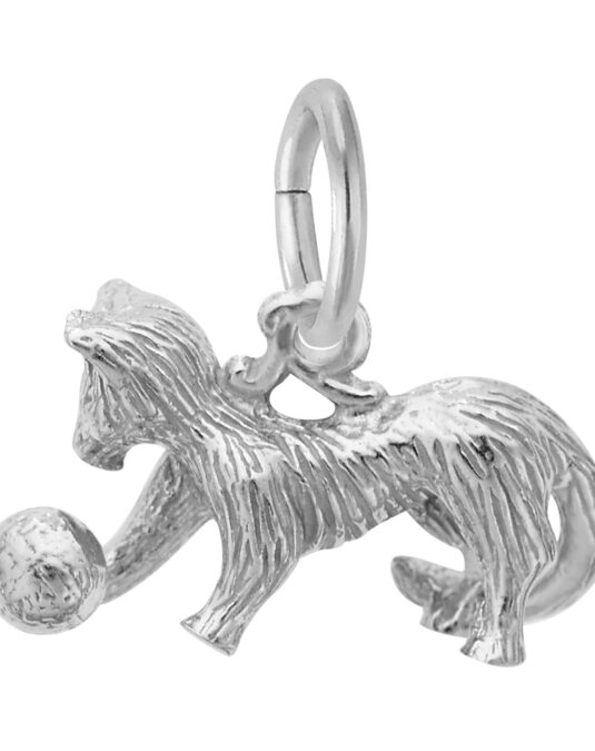 Playful Cat Charm