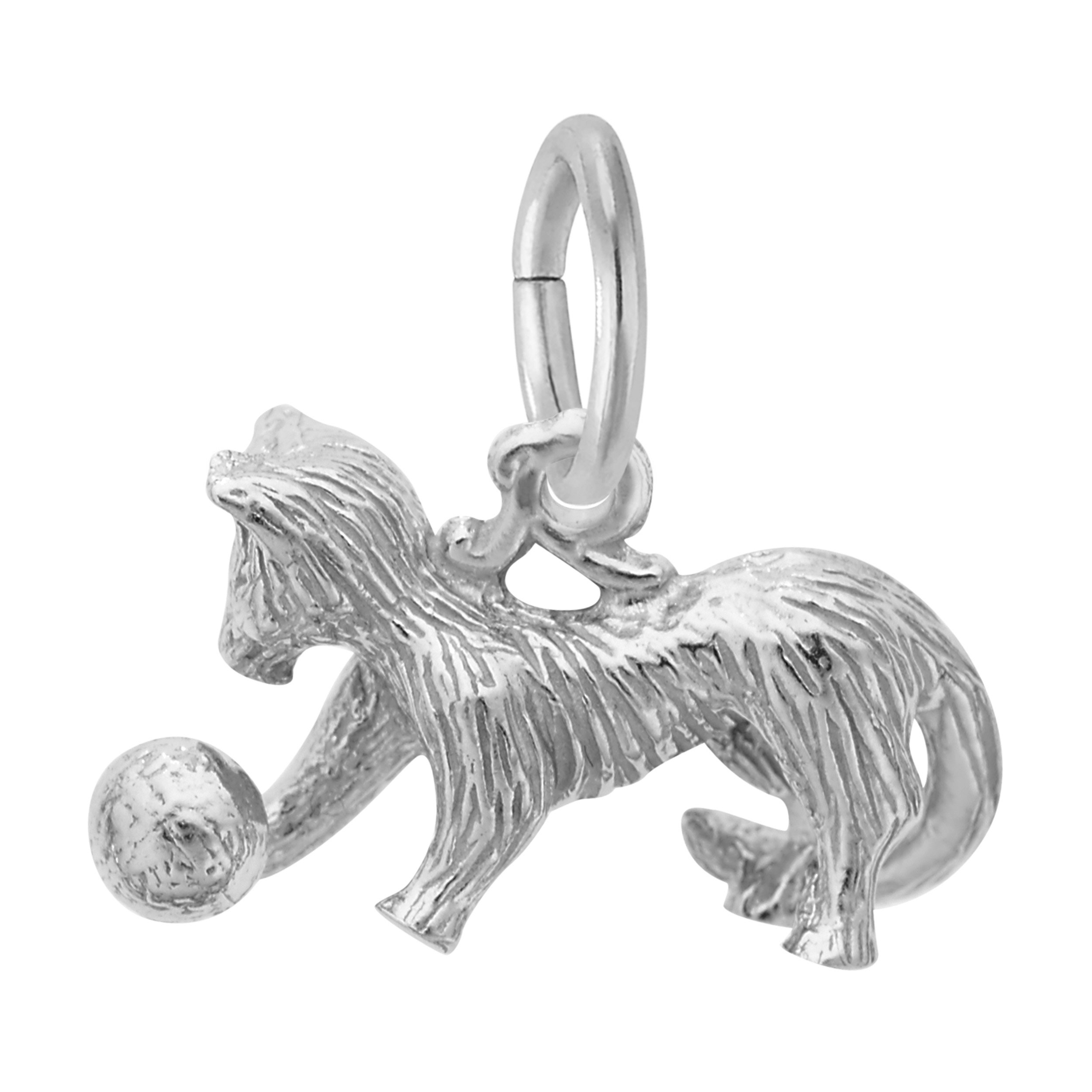 Playful Cat Charm