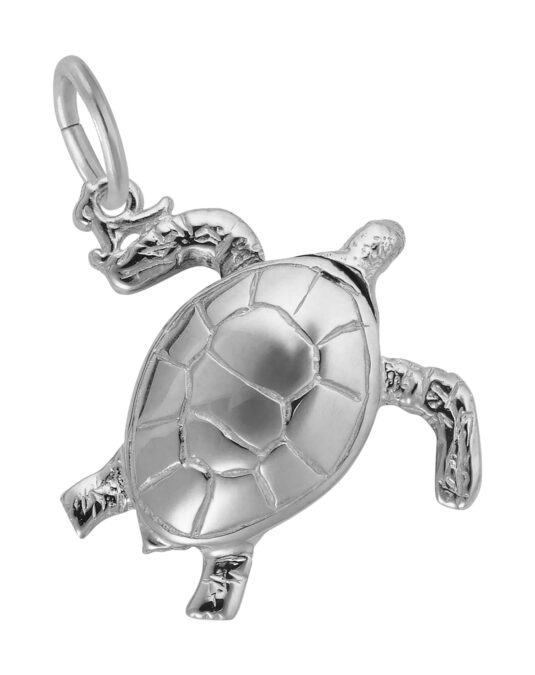 Sea Turtle Charm