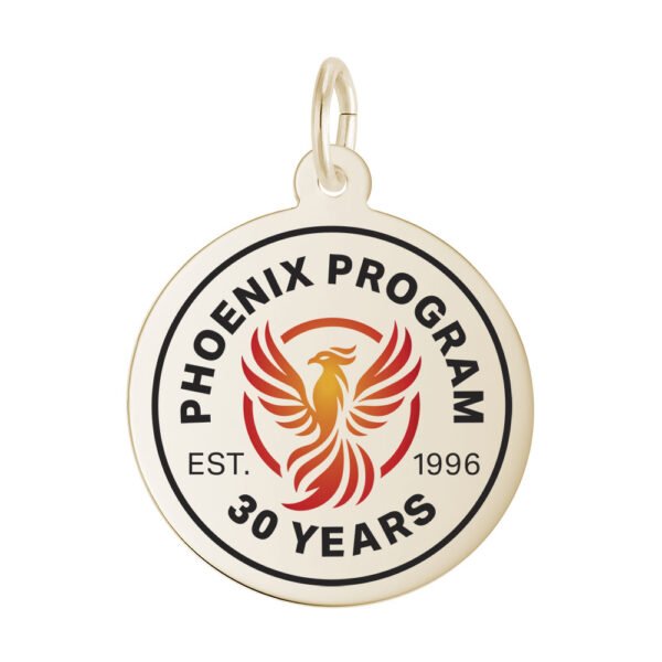 Phoenix Program Disc