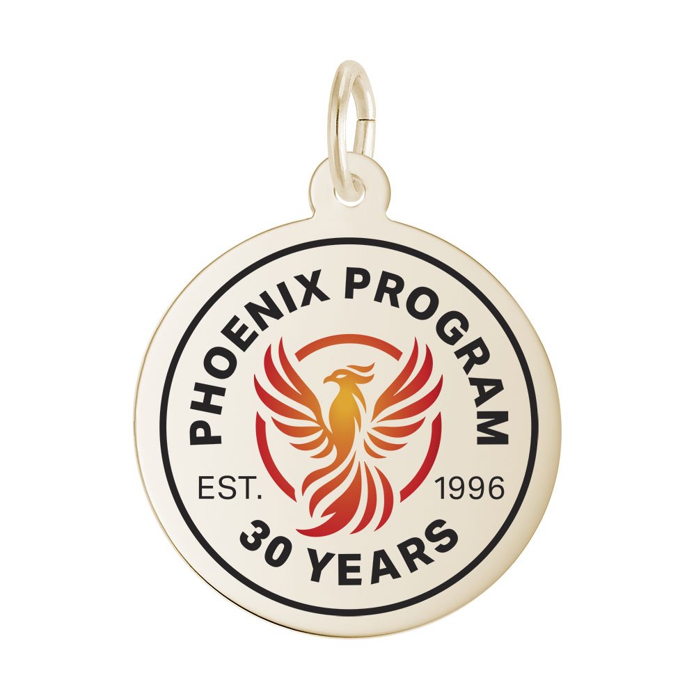 Phoenix Program Disc - Image 1